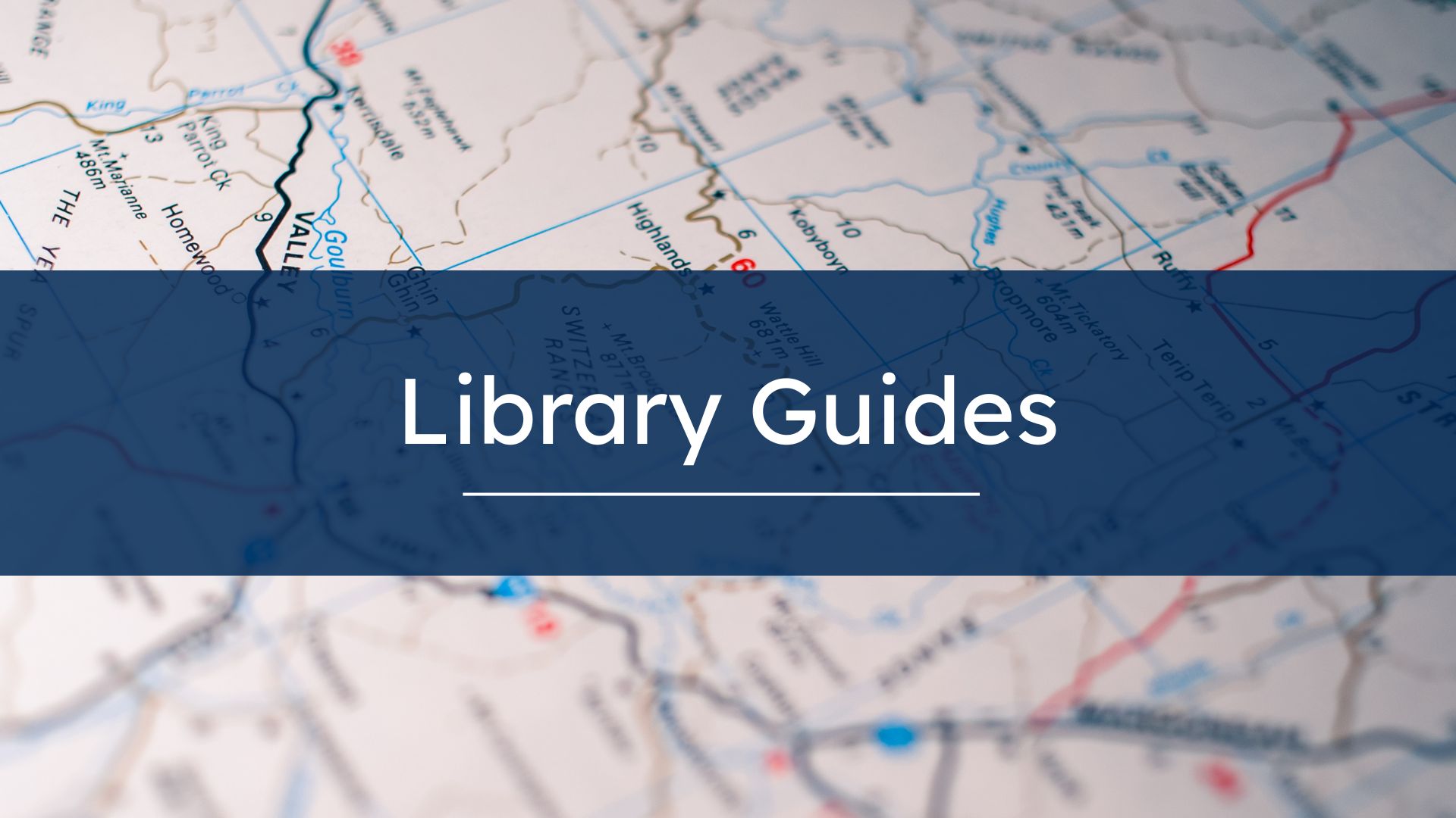Library Guides